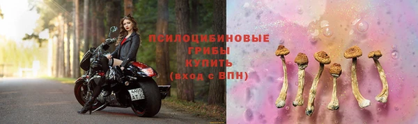 ГАЛЛЮЦИНОГЕННЫЕ ГРИБЫ Беломорск