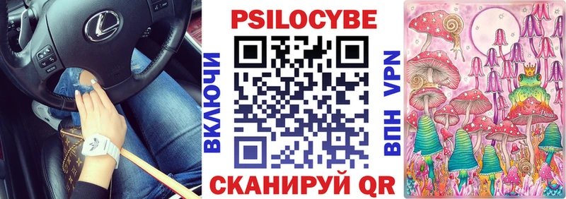 Псилоцибиновые грибы Cubensis  Купить где  Гаджиево 